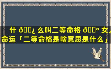 什 🌿 么叫二等命格 🌺 女人命运「二等命格是啥意思是什么」